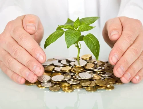 Capitalul privat românesc, văzut ca motor de competitivitate: propunere pentru direcționarea economiilor către startup-uri