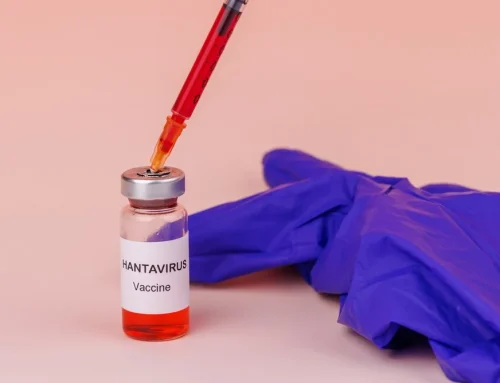 UE trimite primele doze de antiviral experimental împotriva hantavirusului în trei ţări europene