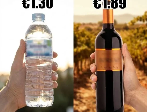Vinul mai ieftin decât apa: secretul din spatele prețurilor din Spania