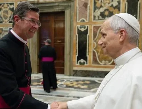 Un român, numit de Papa Leon al XIV-lea reprezentant al Sfântului Scaun la Consiliul Europei